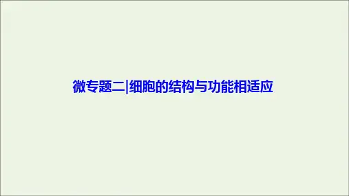 2020高考生物大一轮复习微专题二细胞的结构与功能相适应课件新人教版