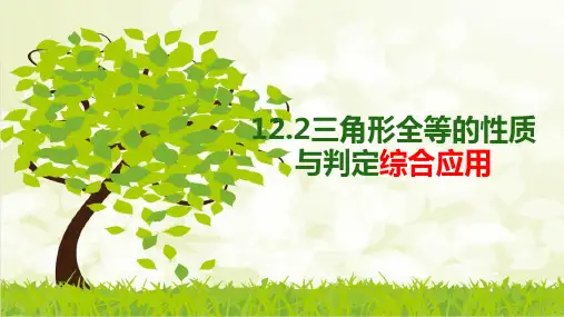 三角形全等的性质与判定综合应用