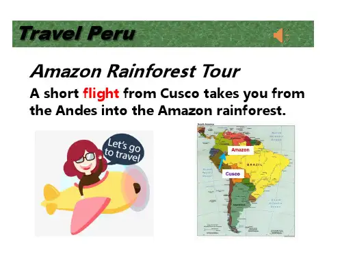 【高中英语必修一课件】Unit 2 Travel Peru P26-27