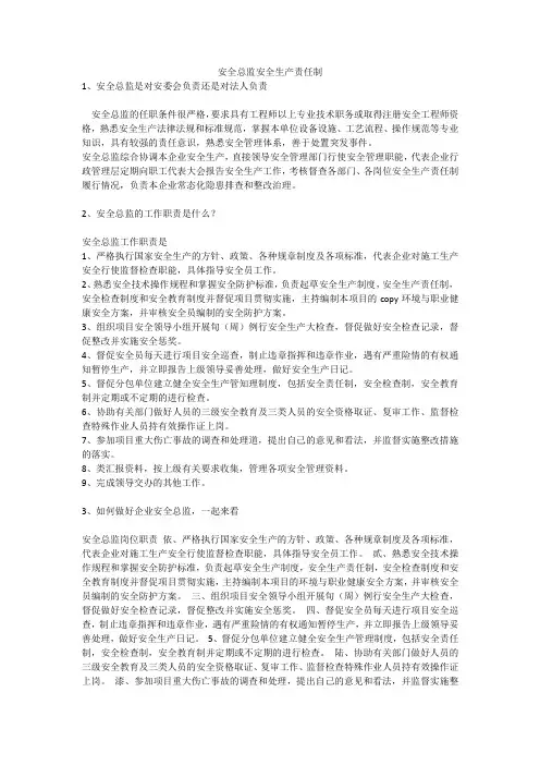安全总监安全生产责任制安全生产