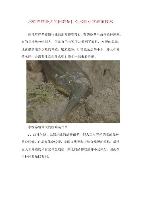 水蛭养殖最大的困难是什么 水蛭科学养殖技术