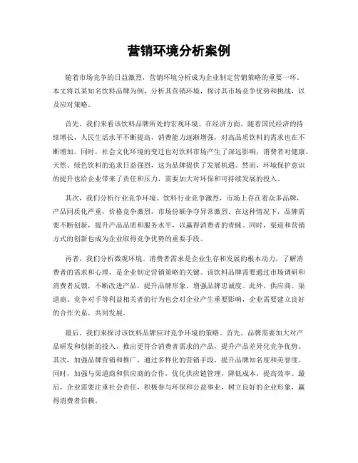 营销环境分析案例