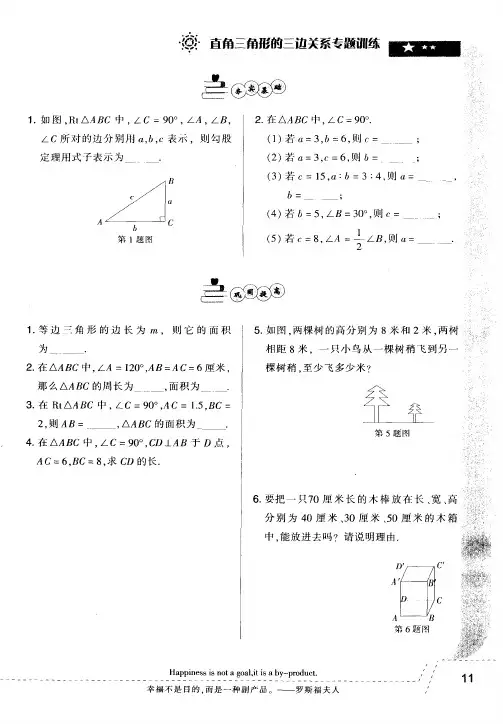 直角三角形的三边关系专题训练