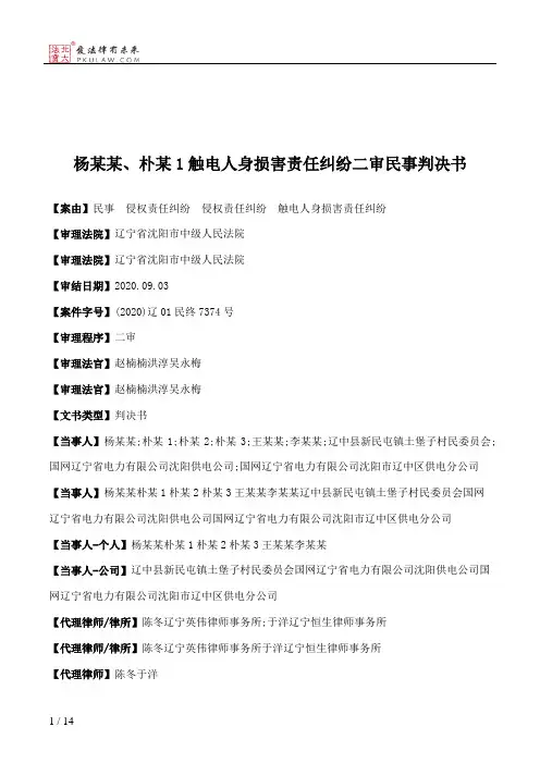 杨某某、朴某1触电人身损害责任纠纷二审民事判决书