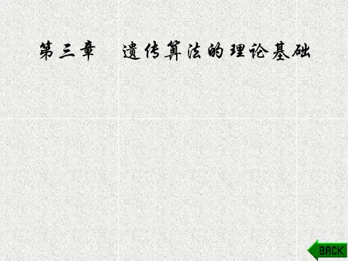 《MATLAB遗传算法工具箱及应用》课件第3章