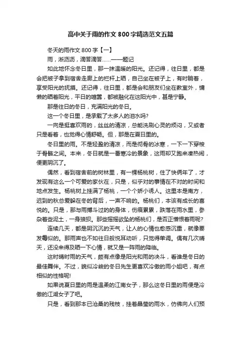高中关于雨的作文800字精选范文五篇