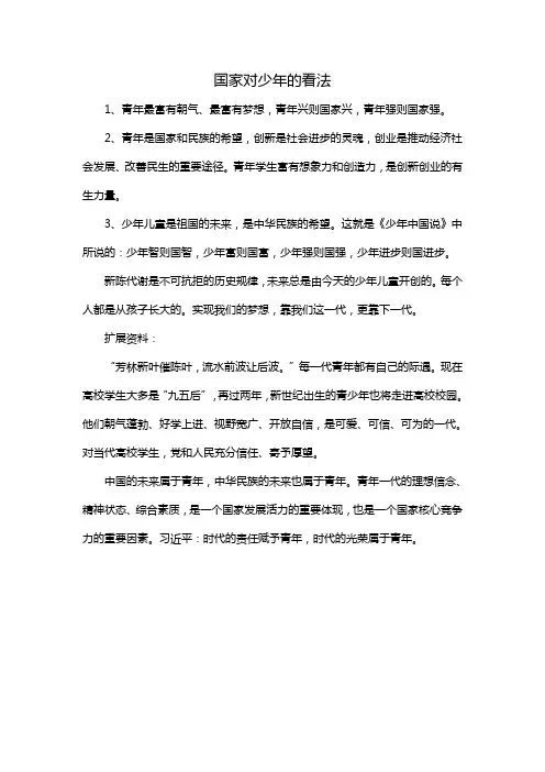 国家对少年的看法