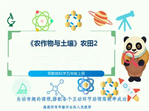 鄂教版科学五年级上册《农作物与土壤》农田2