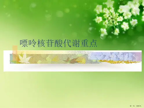 嘌呤核苷酸代谢重点