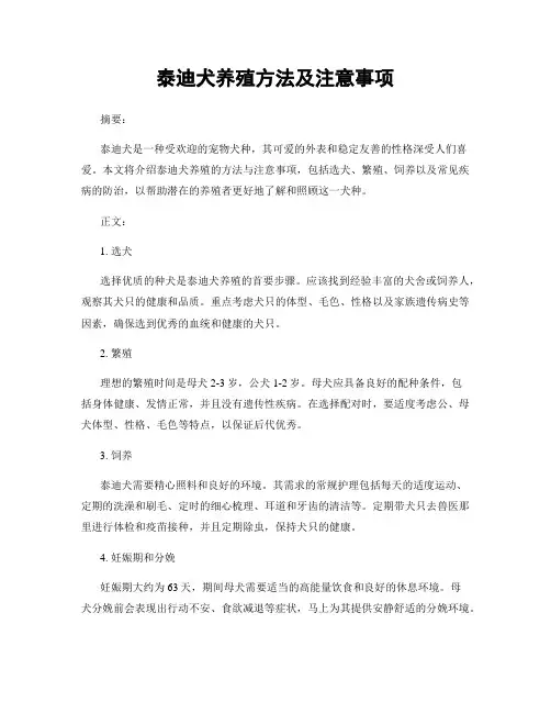 泰迪犬养殖方法及注意事项