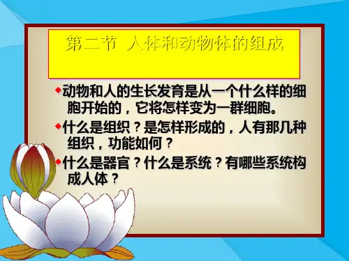 人体和动物体的组成ppt2 苏科版优秀课件