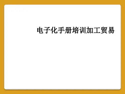 电子化手册培训加工贸易