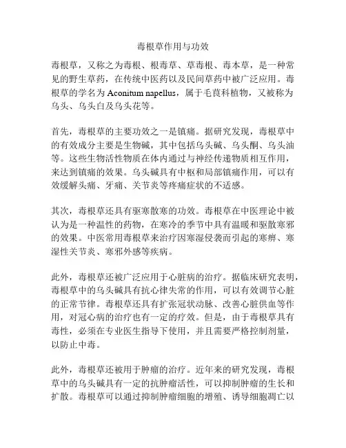 毒根草作用与功效