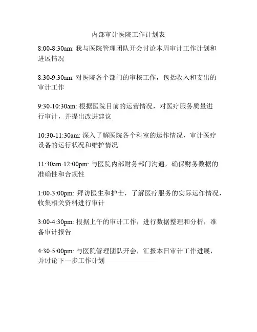 内部审计医院工作计划表