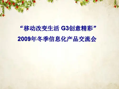 中国移动通信V网的定义(ppt 64页)