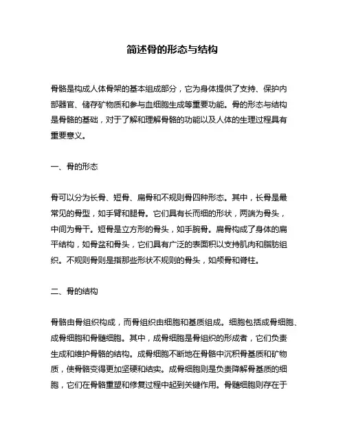 简述骨的形态与结构