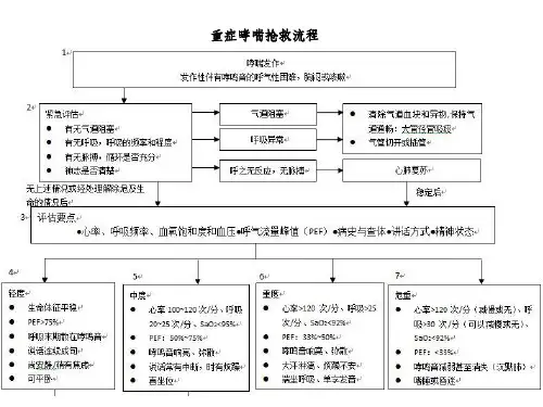 呼吸内科抢救流程ppt课件