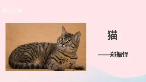 七年级语文上册第五单元16猫课件新人教版