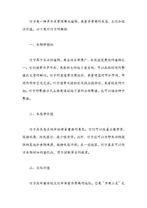关于竹子的解释