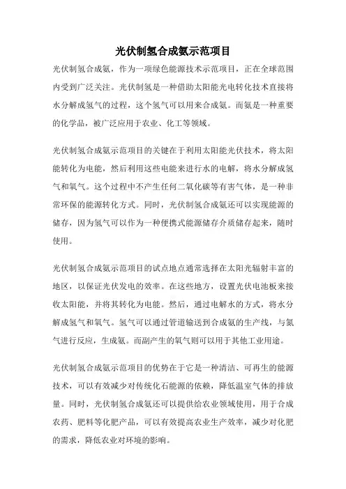 光伏制氢合成氨示范项目