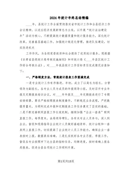 2024年统计年终总结精编（5篇）