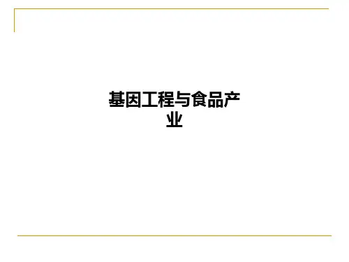 基因工程与食品产业PPT课件