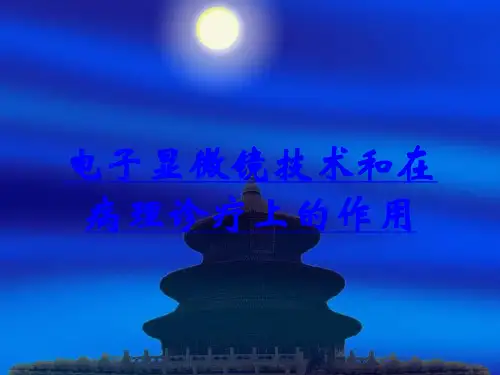 电子显微镜技术和在病理诊疗上的作用