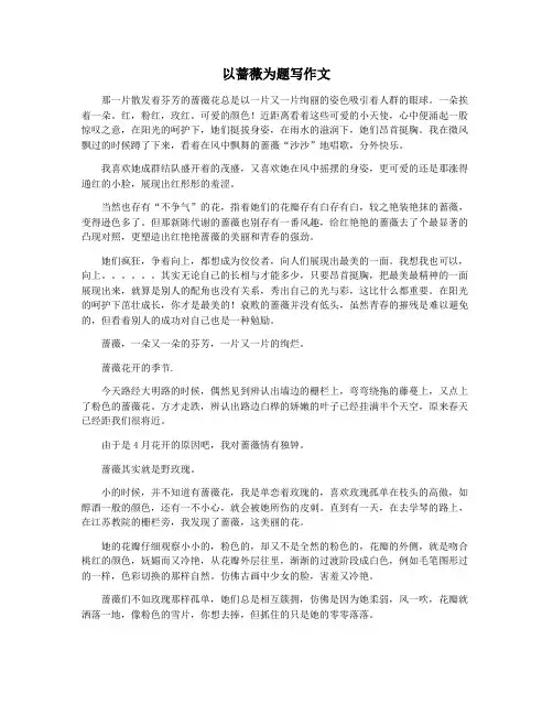 以蔷薇为题写作文