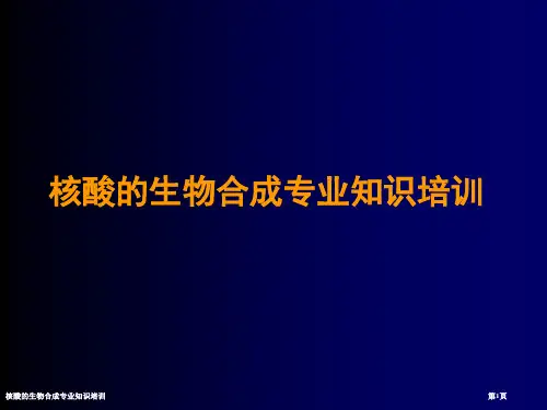 核酸的生物合成专业知识培训
