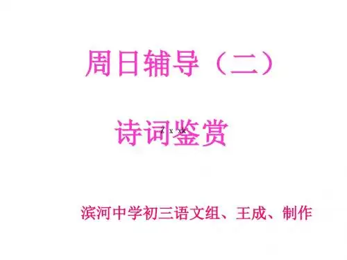 2015届中考语文备考考点复习课件11