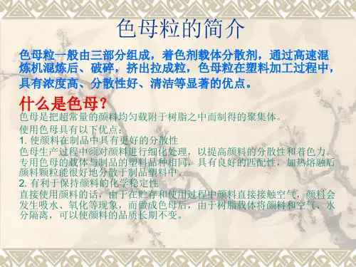 色母粒的简介