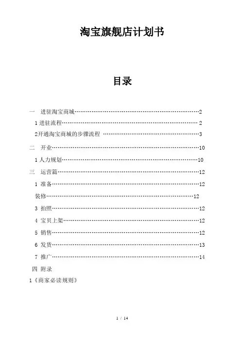 天猫商城计划书