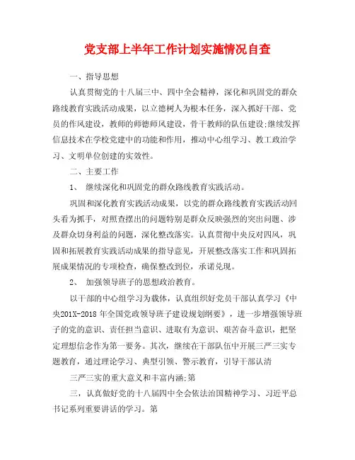 党支部上半年工作计划实施情况自查