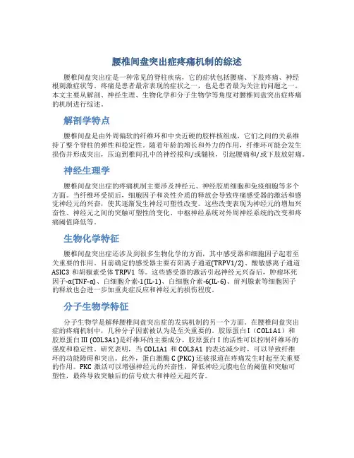 腰椎间盘突出症疼痛机制的综述