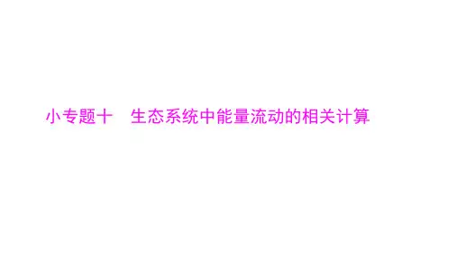 2018版高考生物大一轮精讲复习：小专题十 生态系统中能量流动的相关计算 (共13张PPT)