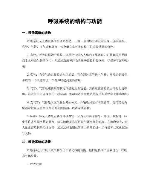 呼吸系统的结构与功能