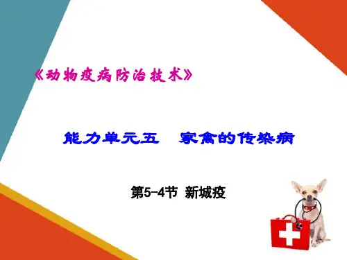 家禽传染病—新城疫(动物疫病防治课件)