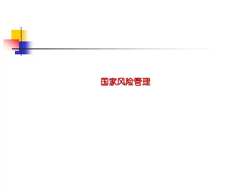 国家风险管理