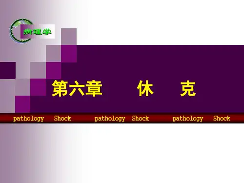 第六章 休克