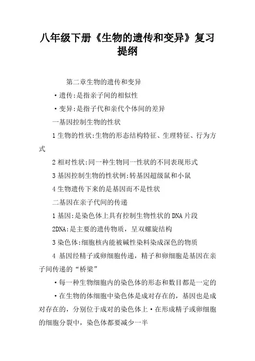 八年级下册《生物的遗传和变异》复习提纲