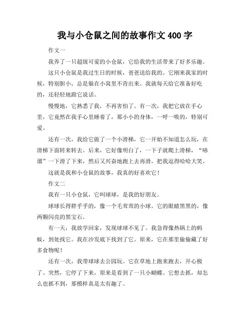 我与小仓鼠之间的故事作文400字