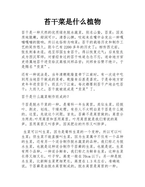 苔干菜是什么植物