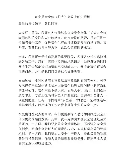 在安委会全体(扩大)会议上的讲话稿