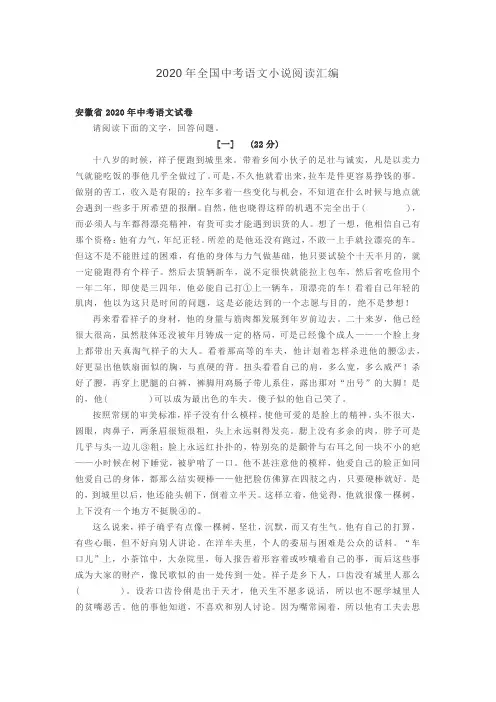 2020年全国中考语文小说阅读汇编