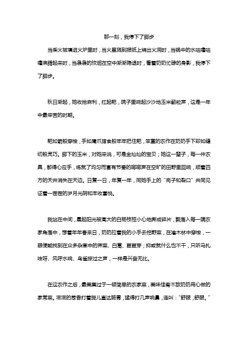 那一刻,我停下了脚步