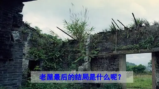部编版三年级上册语文【第四单元】全单元课件完整版