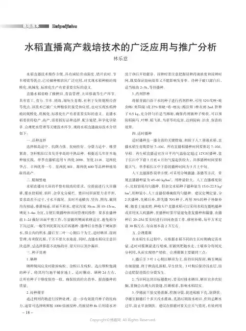 水稻直播高产栽培技术的广泛应用与推广分析