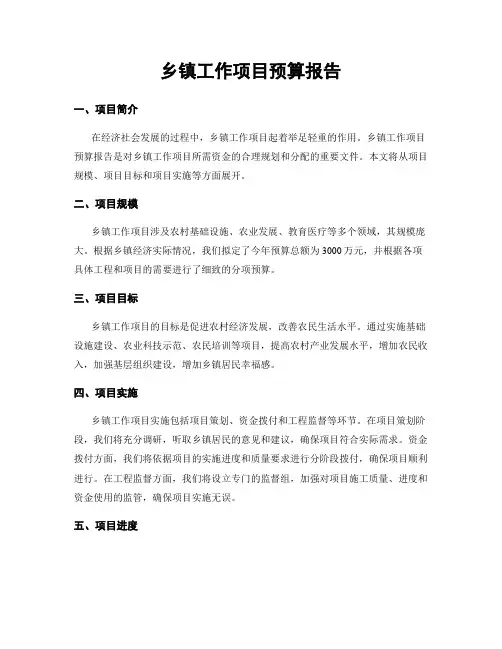乡镇工作项目预算报告