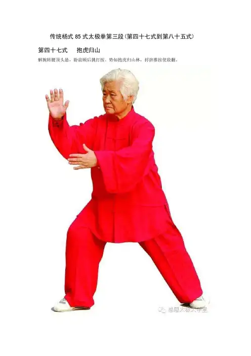 传统杨式85式太极拳第三段