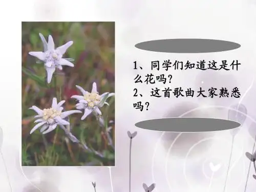 《雪绒花》讲课PPT